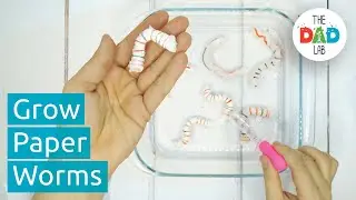 Cool Paper Worms Science Activity for Kids on Halloween