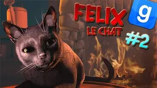 FELIX LE CHAT #2 - GARRY'S MOD DARKRP