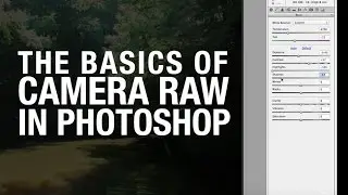 Camera RAW basics in Adobe Photoshop