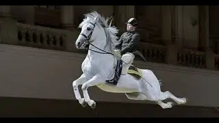 THE SPANISH RIDING SCHOOL •  VIENNA, AUSTRIA