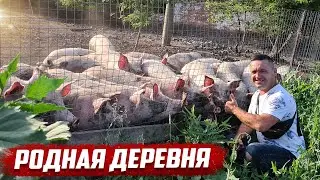 Родная деревня | Орловская обл, Колпнянский район с.Ушаково