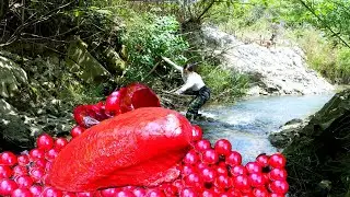 🎁🎁Open the giant red clam, filled with enchanting and gorgeous red pearls, it's incredibly beautiful