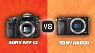 Sony A77 II vs Sony A6000: Which Camera Is Better? (With Ratings & Sample Footage)