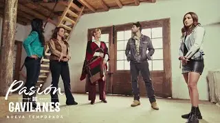Pasion de Gavilanes 2 - Gabriela elogia el trabajo de Demetrio enfrente de su familia