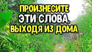 Произнесите эти слова, собираясь на работу, учебу или просто выходя из дома