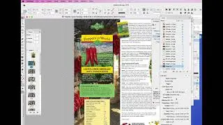 Graphic Designer Tip: Finding Low Resolution Images in InDesign Documents