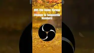 How to Change the OBS File Name Format to Sequential Numbers