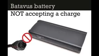 Batavus Slim E-Series 36V Battery not accepting a charge (Phylion problem)