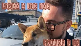 ПОДБОРКА ВИДЕО С ТИК ТОК ЭДИСОН И НП 🌶️