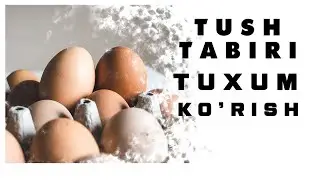 Tushda Tuxum Korish Tabiri