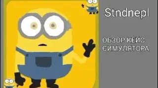 ОБЗОР КЕЙС СИМУЛЯТОР STNDNEPL