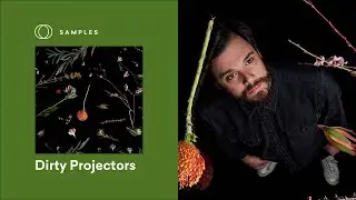 Dirty Projectors Breaks Down the IVO SHANDOR I Sample Pack | LANDR Samples