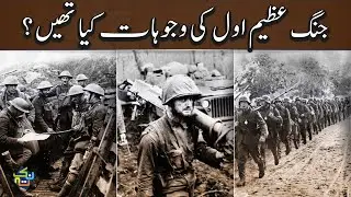 Complete History of the World War 1 | Explained in Hindi/Urdu | Nuktaa