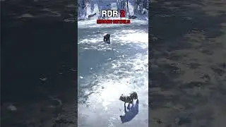 RDR2: The wolf is trying to steal the prey from the bear, and the rabbit has its own trail.