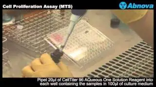 Cell Proliferation Assay (MTS)
