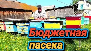 Бюджетная пасека!