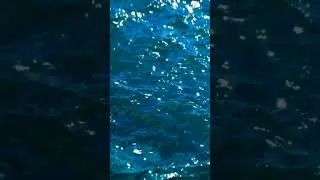 Ocean Waves Motion |Free| (HD) 