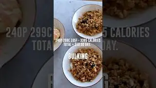 Easy and Cheap BULKING Meals!