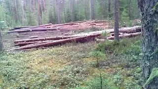 день третий,провожу эксперименты