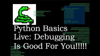 Python Basics Live Stream Debugging Has More Value Than You Think!!!