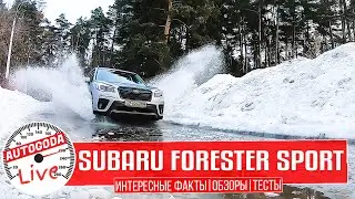 Полный Обзор - Новый Subaru Forester Sport 2021. Интересные факты о Субару Форестер Спорт 2021