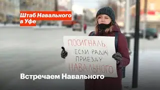 Встречаем Навального