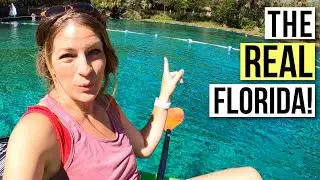 Our TOP 7 NATURAL SPRINGS in Florida // Rainbow Springs