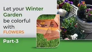 Winter Flowering Annuals (PART -3) | How To Take Care Of Winter Flowers