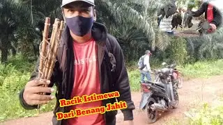 Manjakan Mata Dengan Poin Melimpah !!