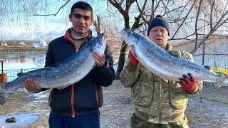 РЕЦЕПТ ДЛЯ ГУРМАНОВ ! ЮКОЛА ИЗ КРАСНОЙ РЫБЫ ENG SUB 
