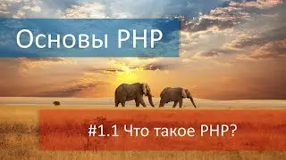 #1.1 Что такое PHP и почему его называют интерпретируемый язык программирования?