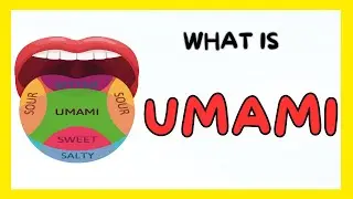 What Is Umami