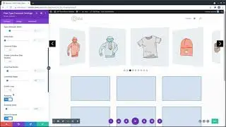 Carousel Settings For Divi Post Type Carousel Module