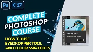 How to use  Eyedropper Tool and Color Swatches | Adobe Photoshop CC Training