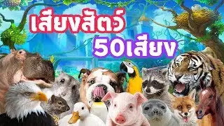 เสียงสัตว์ 50 ชนิด พร้อมวีดีโอประกอบ และชื่อสัตว์ต่างๆ สำหรับเด็ก