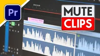 How to Mute Parts of a Video in Premiere Pro - 5 Methods