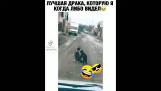 Эпичная драка котов