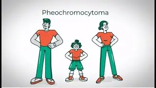 What is Pheochromocytoma?