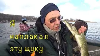 ЩУКА перед ледоставом. ИГНОР крупных приманок.