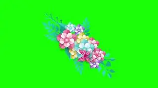 flower animation green screen element  Butterfly green screen