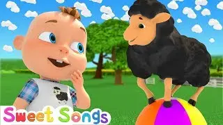 Baa Baa Black Sheep | Nursery Rhymes & Kids Songs