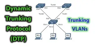 what is a trunk prot ? | Dynamic Trunking Protocol (DTP) | explained concepts