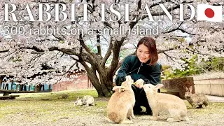 HIROSHIMA🇯🇵 Rabbit Island (Okunoshima)🐰🌸 Only in Japan⭐️ Japanese travel vlog
