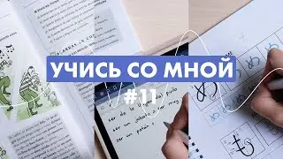 Перфекционизм, японский язык и новый ридер | учись со мной #11