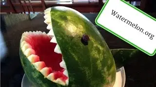 WATERMELON - ПОГРУЗИСЬ В МИР АРБУЗОВ. Рецепты из арбуза, арбуз в любом агрегатном состоянии