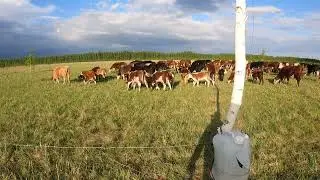 Эдильбаевские бораны .