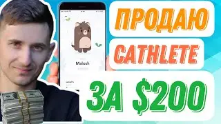 WALKEN ПРОДАЖА CATHLETE ЗА 200$ WLKN NFT БЕСПЛАТНО