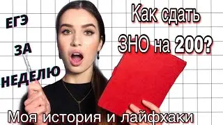 КАК СДАТЬ ЗНО НА 200 БАЛЛОВ? Подготовка к зно за МЕСЯЦ/НЕДЕЛЮ. Как сдать ЕГЭ Твори ЗНО, лайфхаки зно