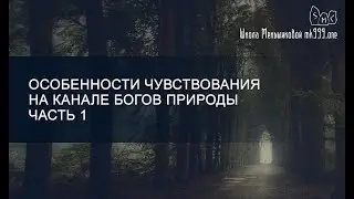 Особенности чувствования на канале богов природы. Часть 1