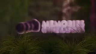 Nature Logo Animation in After Effects | Logo Animation | After Effects